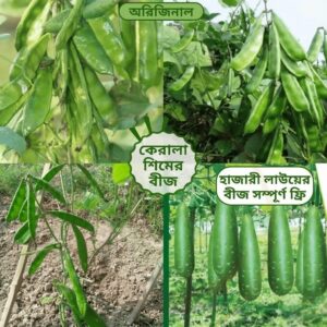 ২ প্যাকেট ১২ মাসি কেরালা সিম